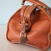 dooney and bourke speedy doctor bag