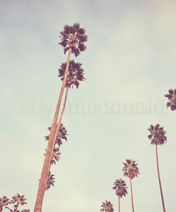 Streets of L.A. - Photographic Print - Palm Tree, Los Angeles, Mint, California, SoCal, Cali, Whimsical, Photograph, Wall, Art, Hanging,