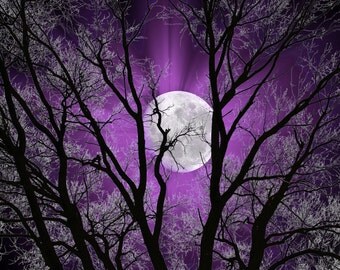 Purple Sky Moon Tree Decor, Purple Home Decor Pictures, Purple Bedroom Wall Art Matted Picture
