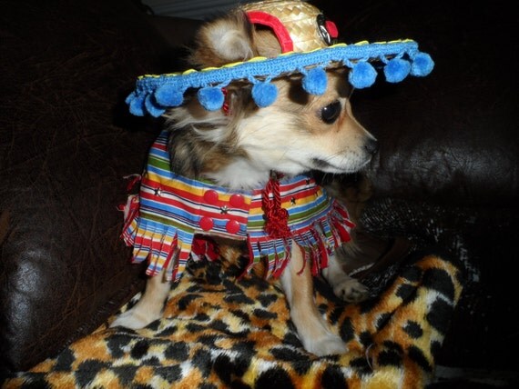 Dog Pet Costume Mexican Serape and Sombrero Halloween Cinco de