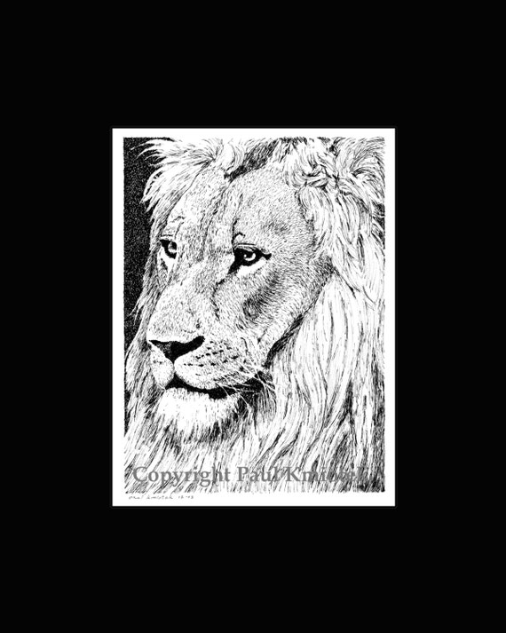 Lion Pen and Ink Print by KmiotekArtWorks on Etsy