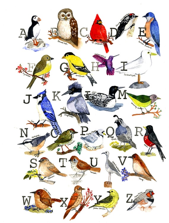 Watercolor Print Bird Alphabet Sampler by SarahJeanDuggan on Etsy