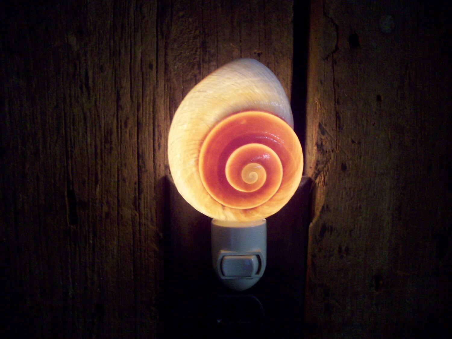Beach Decor Muffin Snail Night Light Home Decor Light