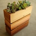 Succulent Planter Box in Recycled Cedar, With Gravel and Soil