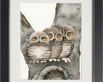 Three Small Owls - archival watercolor print by Tracy Lizotte
