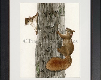 Squirrel Tag - archival watercolor print by Tracy Lizotte