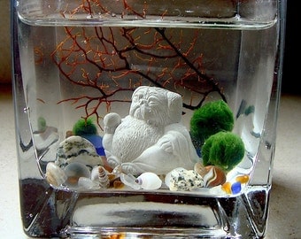 Live Marimo Balls and Mini Pug Buddha Mini Aquarium / Terrarium Desk Plant