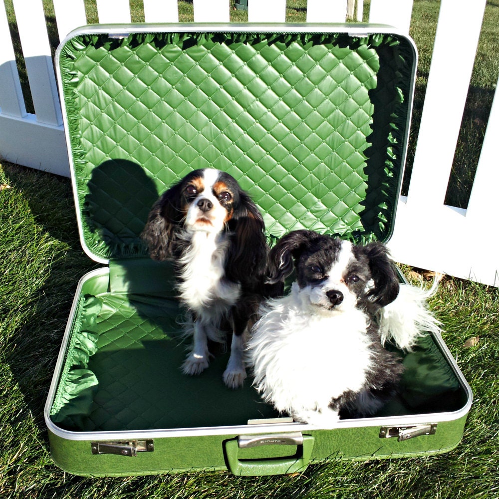 Vintage Biltmore Green Suitcase Near MINT Green Ruffled