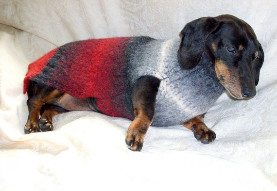 Dachshund winter coat felted wool for outdoor cold weather