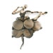 Mother of Pearl ballerina brooch pin in the style of Boucher eco-friendly