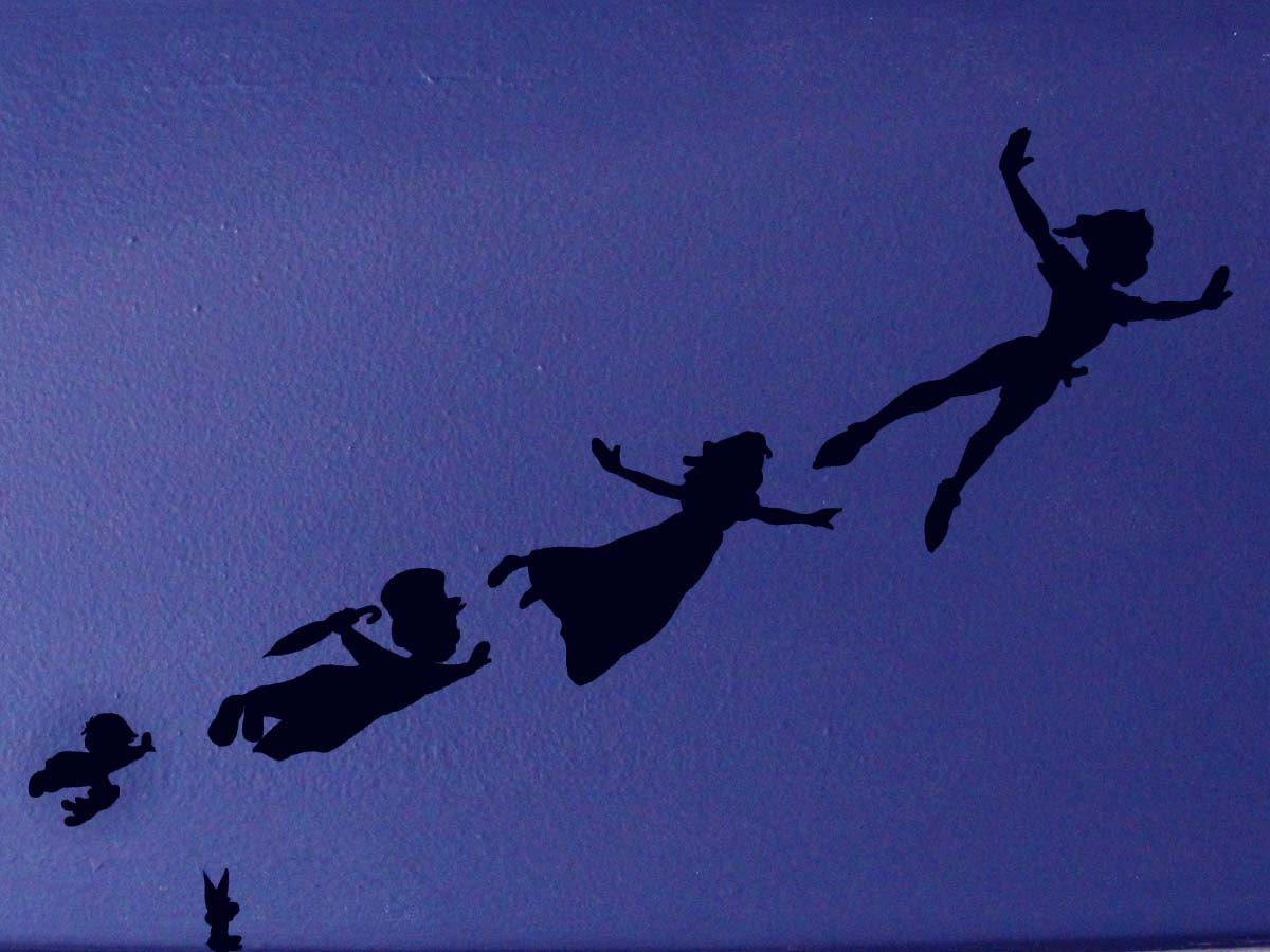  Peter Pan Shadow Wall Decals created using Peter Pan template