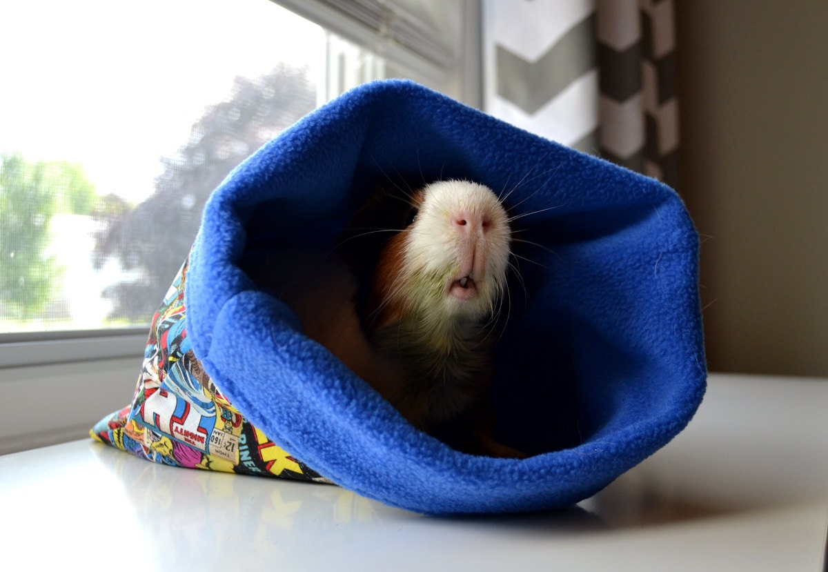 Comic Book Print Guinea Pig Pouch Hedgehog Pouch Small by CouiCoui