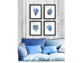 Blue Coral print Set of 4 Sea Coral art prints beach decor wall art coastal decor art antique natural history GnosisPictureArchive