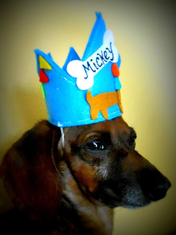 Dog hat crown dog birthday birthday crown doggie dog hat