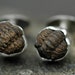 Fossil Trilobite Cuff Links in Sterling Silver- Ready to Ship