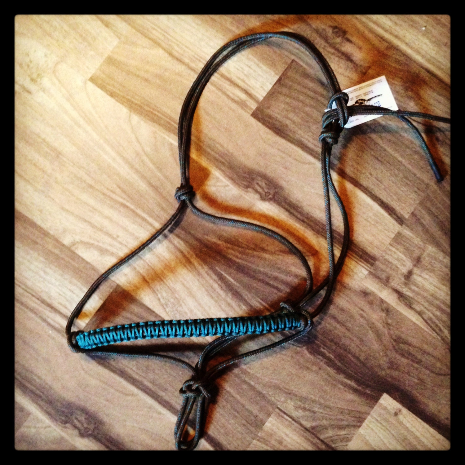Firm Rope Halter with Braided noseband