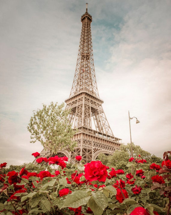 Eiffel Tower Photo Paris Photography Red Roses Photograph