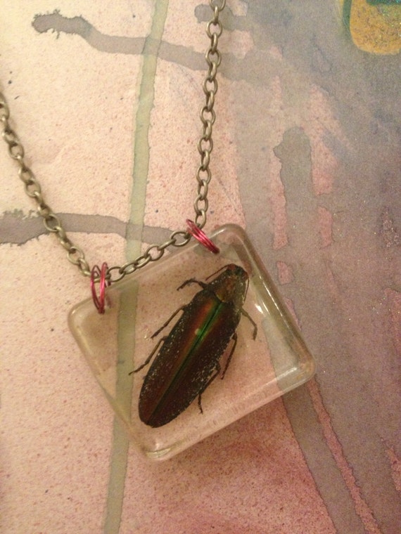 Items similar to Real beetle pendant necklace on Etsy