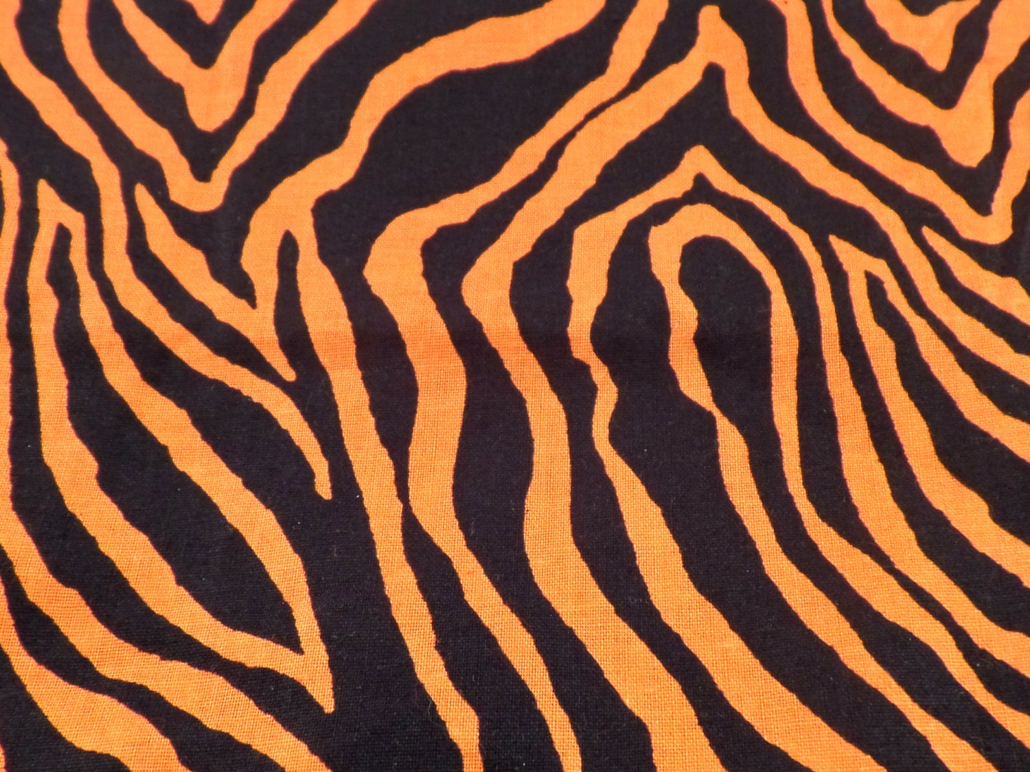Spooky Zebra Striped Orange and Black Dog Collar by Maltipaws