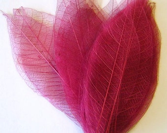 One Dozen Dark Magenta Skeleton Leaves Great for Corsages, Hair Clips, Paper Crafts