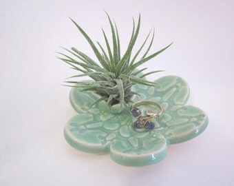 Air plant holder cubicle decor home decor wedding gift