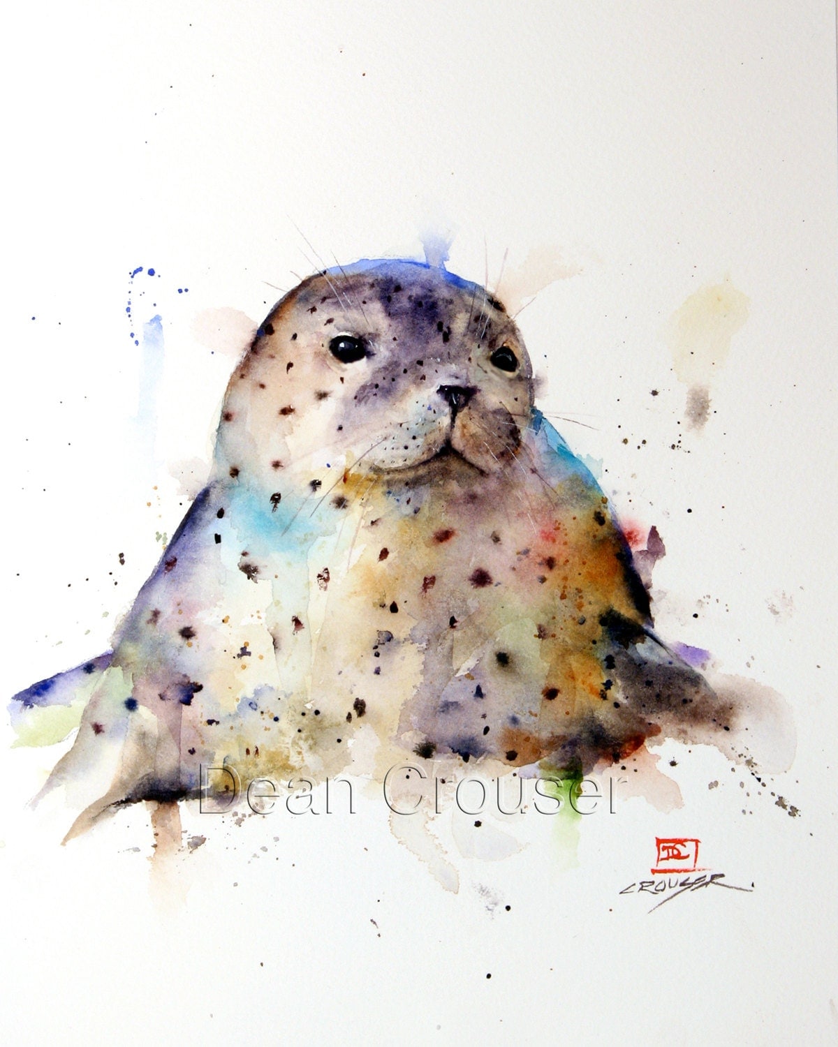 HARBOR SEAL Watercolor Print by Dean Crouser