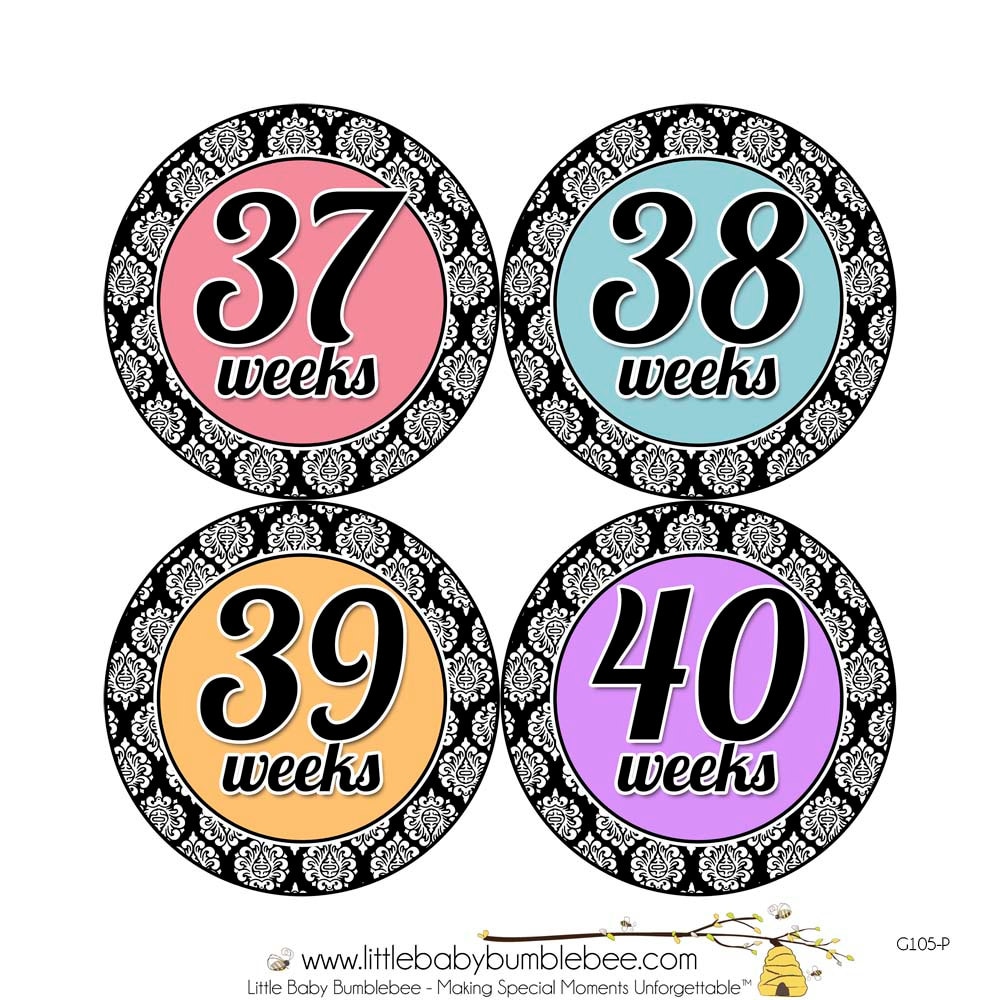 Pregnancy Stickers Pregnancy Announcement Weekly Stickers