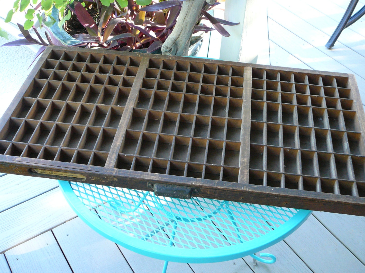 Vintage Printer's Drawer / Hamilton / Jewelry Holder