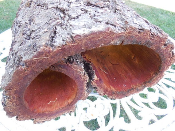 OOAK  Douglas Fir Heavy Bark Chunk Wood for Crafts, Decor, Small Pet Habitat