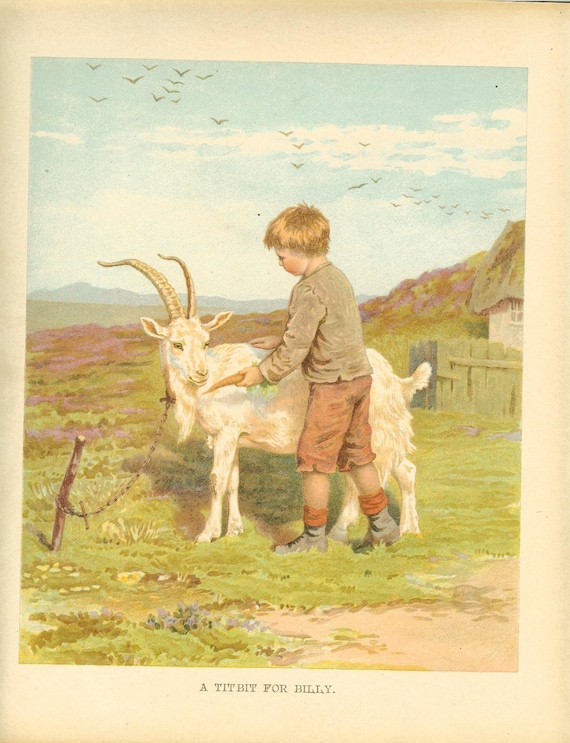 Edwardian 1900s Ernest Nister Antique Childrens Print Young Boy Feeding Chained  Billy Goat Carrot Goat In Field Vintage Book Plate