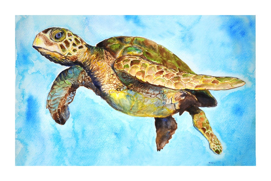 green-sea-turtle-giclee-8-x-12-print