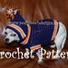 Instant Download Crochet Pattern - Sports Team Dog Hoodie - Small Dog Hoody 2-20 lbs