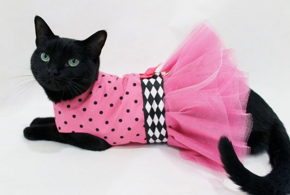 Cat Dress Cat Clothes Pink and Black Polka by RockinDogsCoolCats