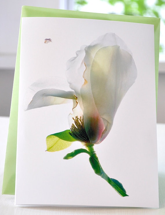 Handmade Greeting Card Woodhall Magnoli Blank free Shipping in the US