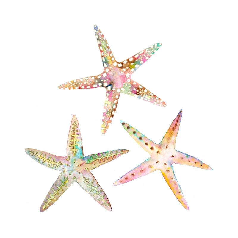 This is a photo of Juicy Printable Star Fish It is an image of Juicy Printable Star Fish