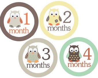 Month Stickers Baby Monthly Stickers Owls Baby Milestone Stickers Boy Stickers Monthly Baby Stickers Boy Month Stickers Boy Monthly Stickers