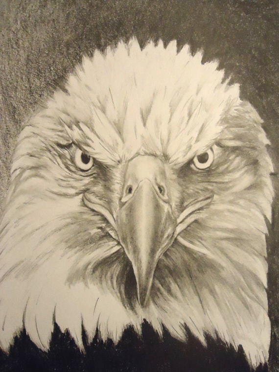 Items similar to American Bald Eagle. Fierce Eagle. American Eagle