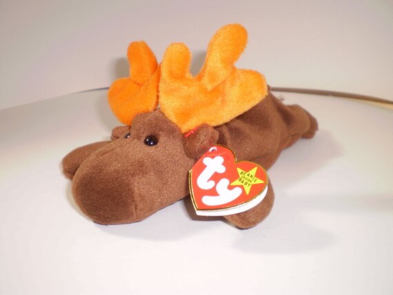 ty chocolate the moose