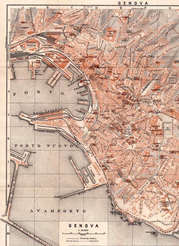 Vector map Genova Genoa Italy