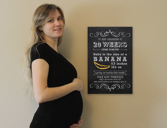 Pregnancy Poster, Bi-Weekly Posters Set of 17, Pregnancy Countdown Printable, week by week, Baby is the size of, SET OF 17 POSTERS