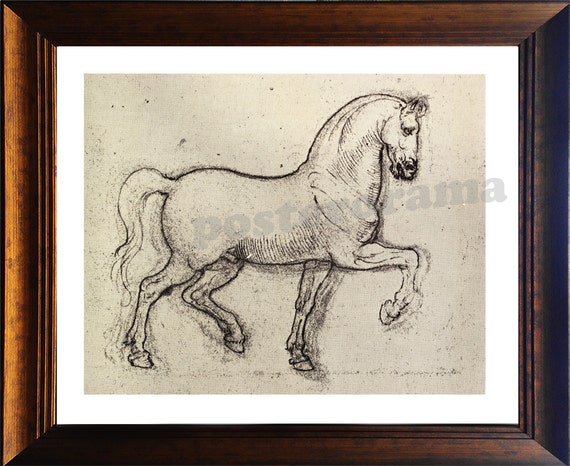 Download Horse art by Leonardo da Vinci POSTER large 16 x 20 Print