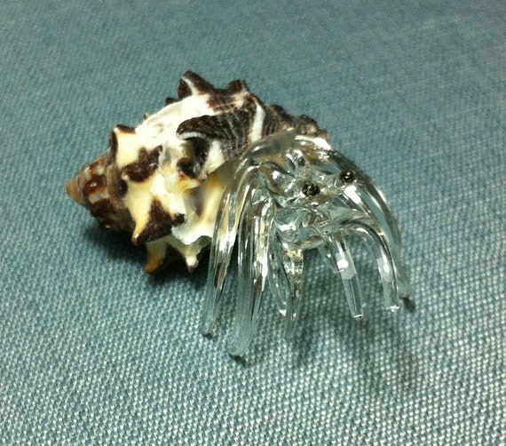 blown glass hermit crab shell