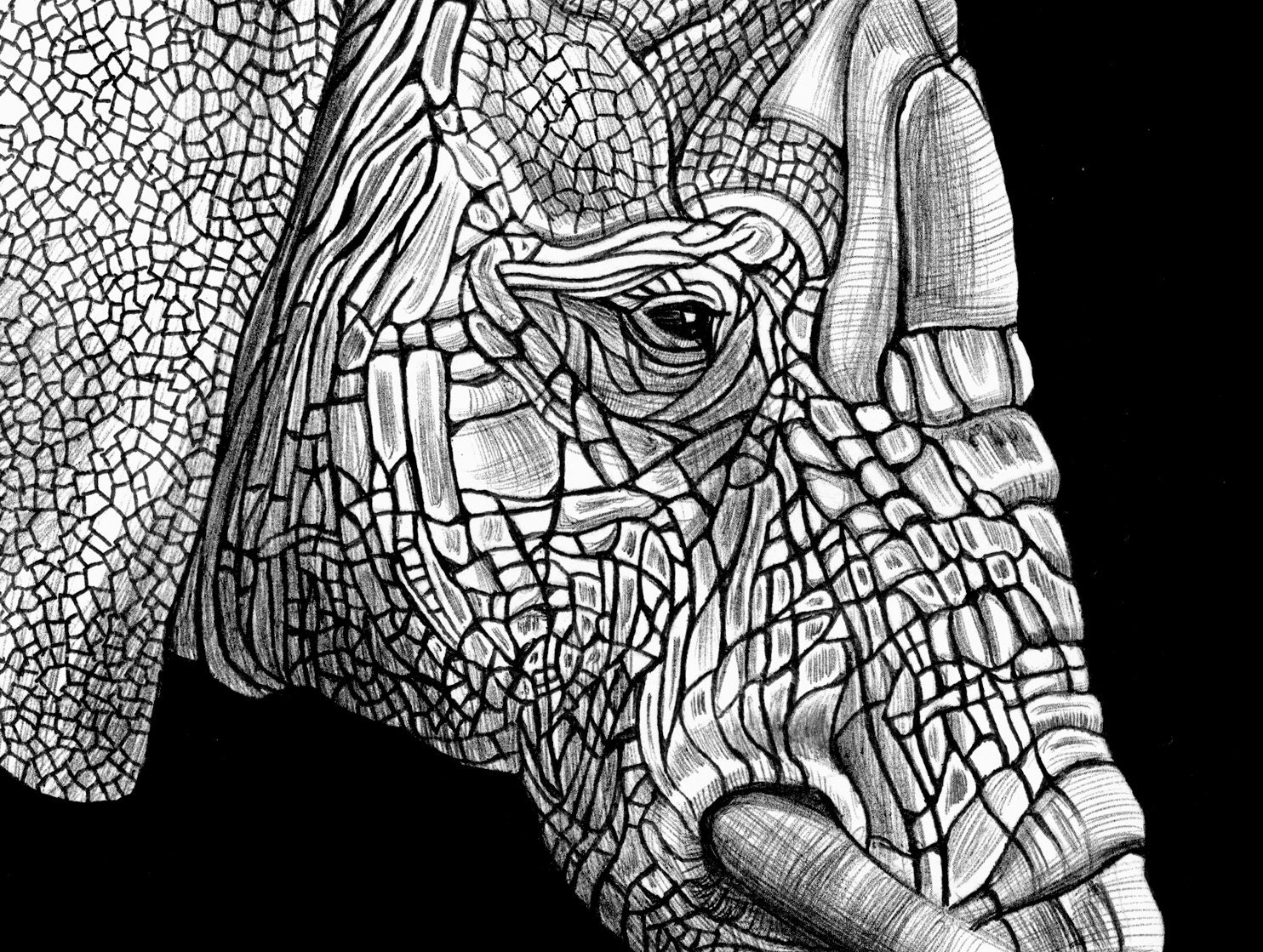 Elephant Ink Drawing. Signed by Artist
