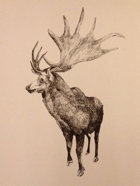 Items similar to Irish Elk Original Pen Drawing in an 11" X 14" frame