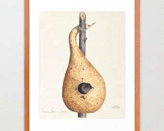 Bird Nest Art - Bird Nest Poster - Purple Martin - Purple Martin Nest - Vintage Bird Nest - Ornithology - Bird Lover - Bird Wall Art