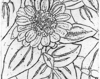 Zinnias - Original Etching & Engraving, Hand-printed