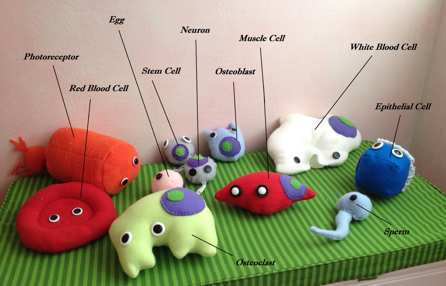 brain cell plush