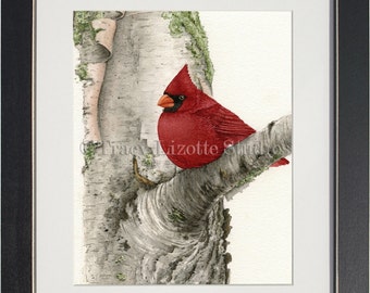 Cardinal In Birch Tree - archival watercolor print by Tracy Lizotte