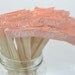 50 Coral Peach Paper Flag Stir Sticks or Drink Stirrers with White Calligraphy