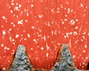 Red, Industrial, Gear, Black, Abstract, Spots, 8x10, bright, photograph